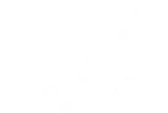Momentum Brokers